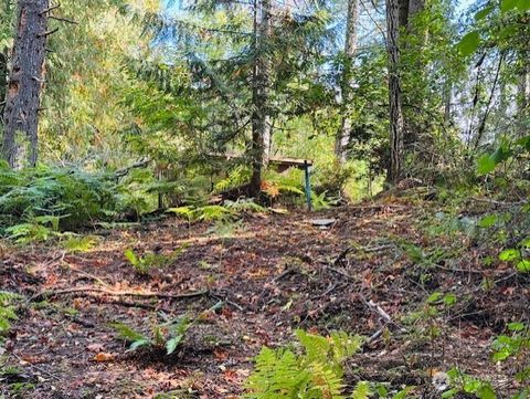 Photo of 20 E Agate Road, Shelton, WA 98584 (MLS # 2440280)