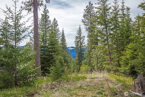 0 R&R Heights Drive Roslyn WA 98941