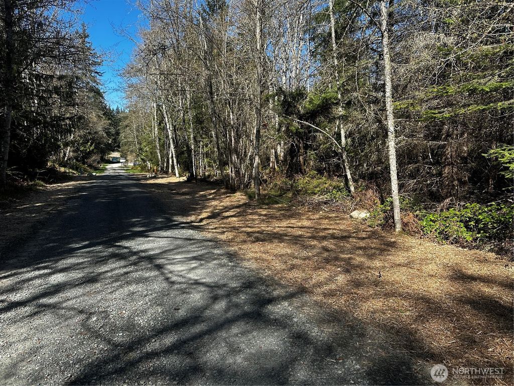 Photo of 99 Lot 3 Robinson Road, Port Angeles, WA 98362 (MLS # 2506026)