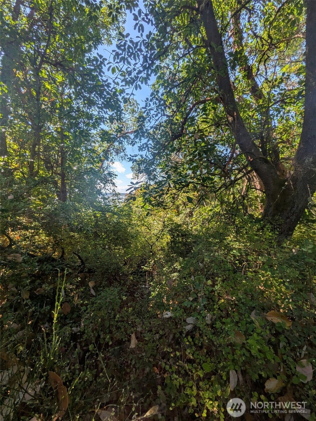 Photo of 28800 97th Ave SW AVE, Vashon, WA 98070 (MLS # 2581241)