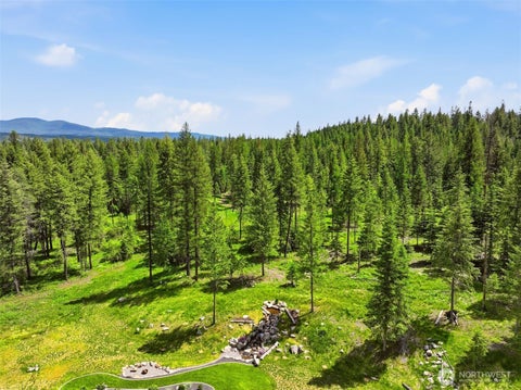 Photo of Deer Park, WA 99006 (MLS # 2542963)