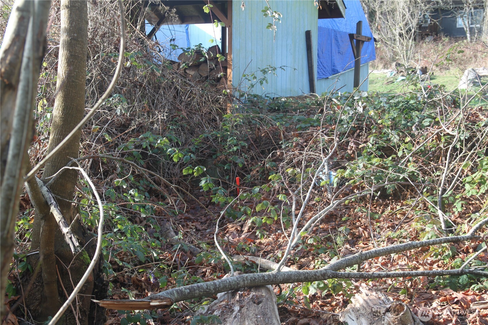 0 NE Columbia Street