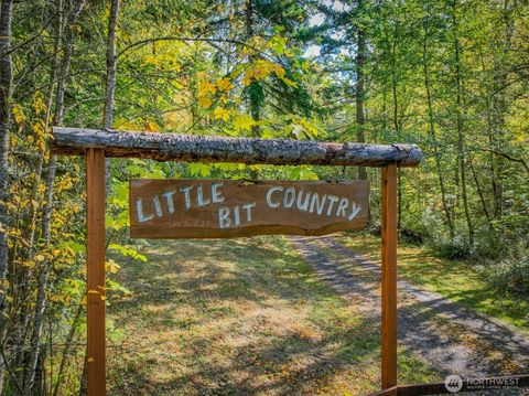 Photo of 17328 Mulqueen Road SE, Rainier, WA 98576 (MLS # 2447578)