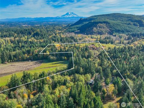 Photo of 17328 Mulqueen Road SE, Rainier, WA 98576 (MLS # 2447578)