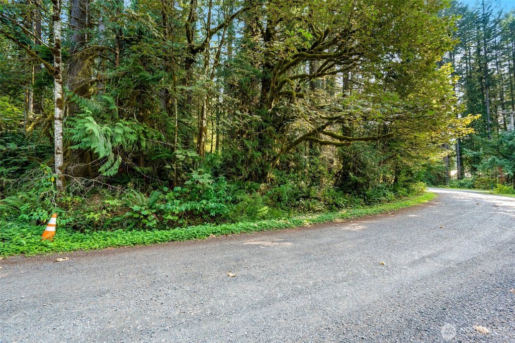 Photo of 75601 NE 122nd, Skykomish, WA 98288 (MLS # 2457053)