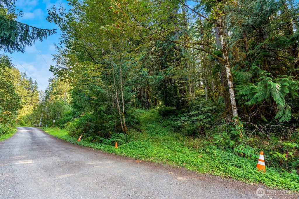 Photo of 75601 NE 122nd, Skykomish, WA 98288 (MLS # 2457053)