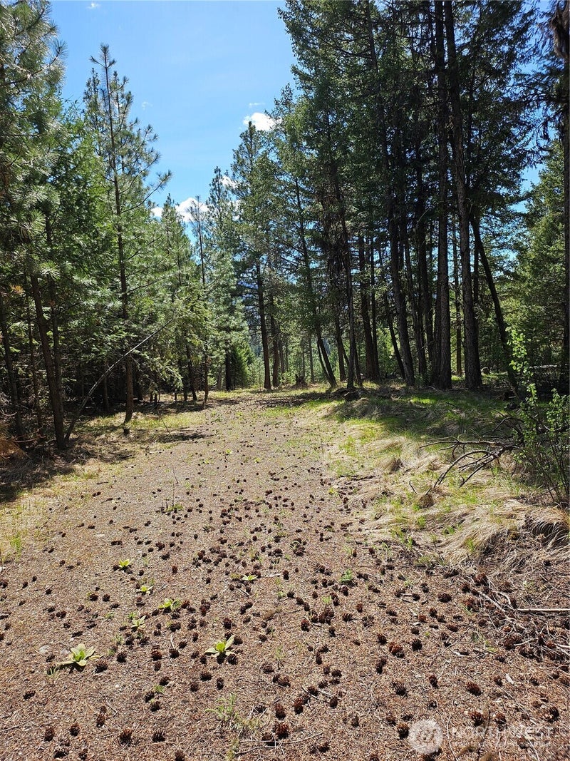 168 Prior Loop Road