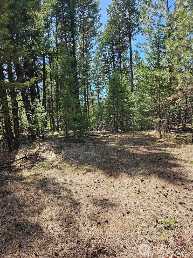 168 Prior Loop Road