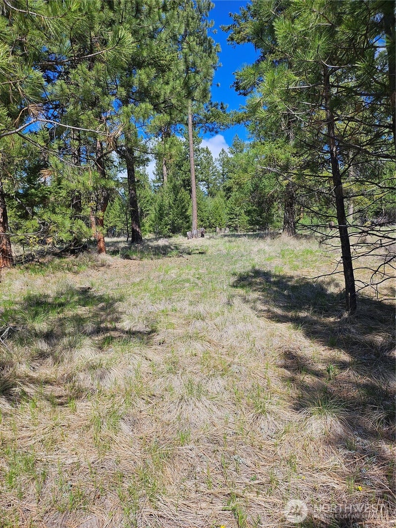 168 Prior Loop Road