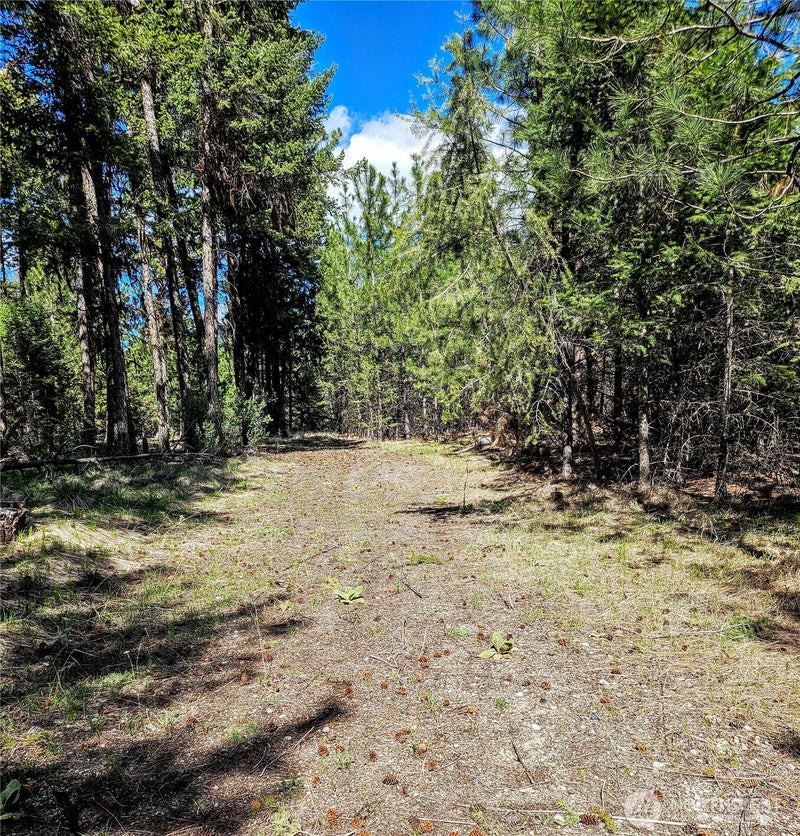 168 Prior Loop Road