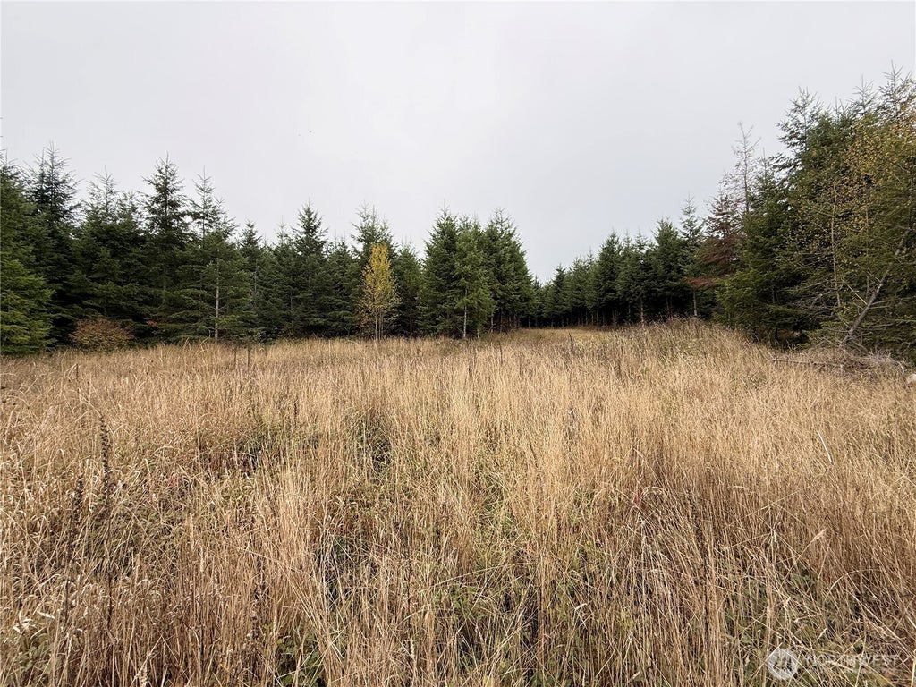 Photo of 19 xx Bunker Creek Road, Chehalis, WA 98532 (MLS # 2590214)