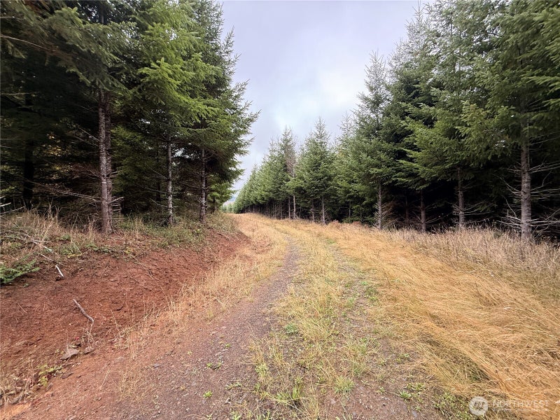 19 Bunker Creek Road
