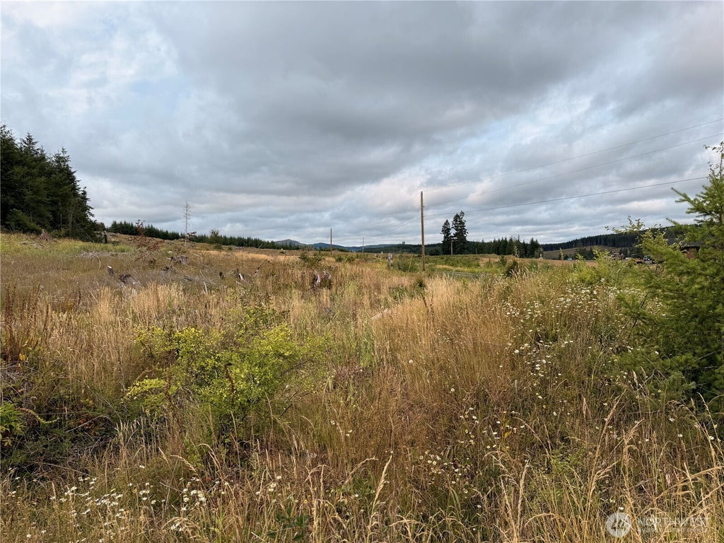 Photo of 19 xx Bunker Creek Road, Chehalis, WA 98532 (MLS # 2590214)