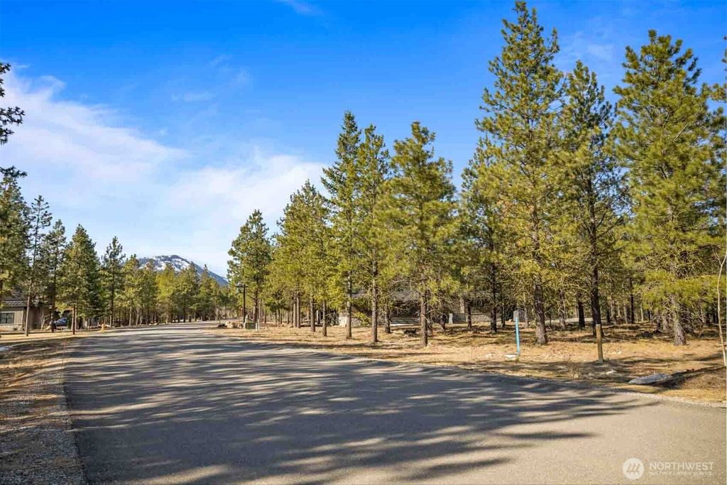 Photo of 381 Gold Leaf Lane, Cle Elum, WA 98922 (MLS # 2498038)