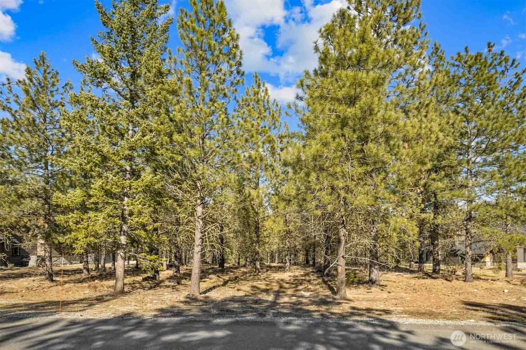 Photo of 381 Gold Leaf Lane, Cle Elum, WA 98922 (MLS # 2498038)