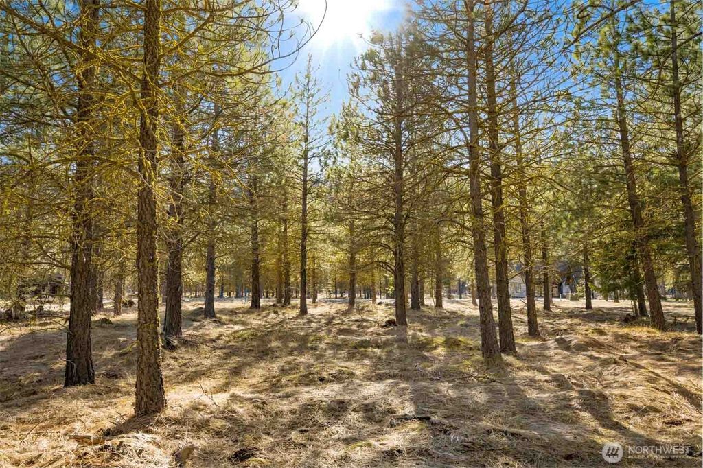 Photo of 381 Gold Leaf Lane, Cle Elum, WA 98922 (MLS # 2498038)