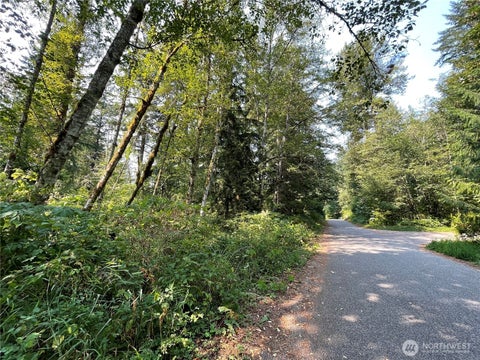 Photo of 7521 Olsen Drive DR, Glacier, WA 98244 (MLS # 2570357)