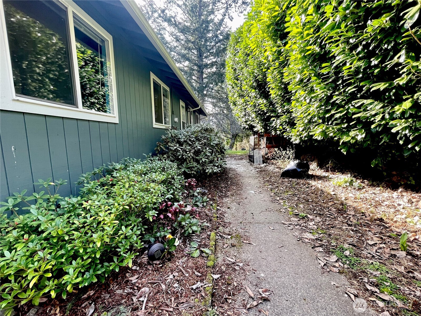 32 Madrona Place