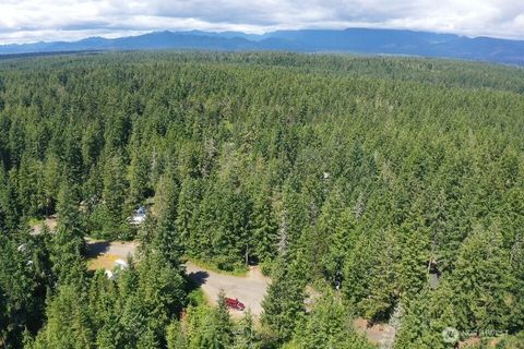 Photo of 101 NE Creekside Place, Tahuya, WA 98588 (MLS # 2543489)