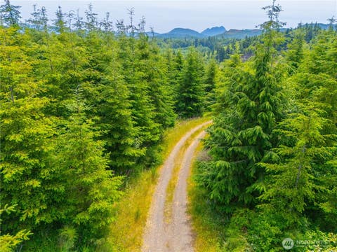 Photo of 0 Mudd Lane, Astoria, OR 97103 (MLS # 2571603)