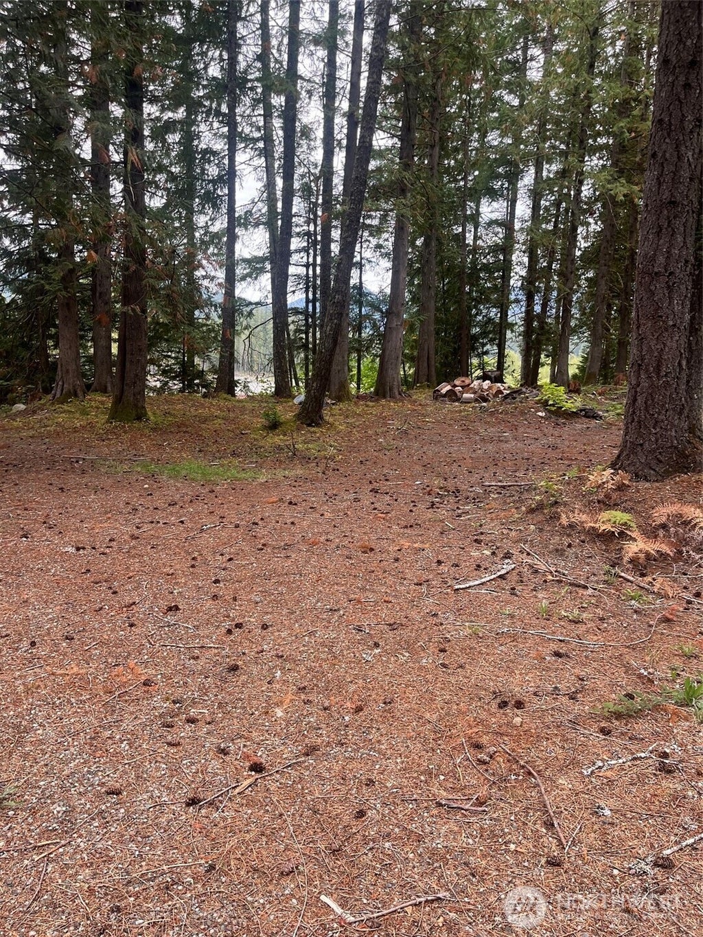Photo of 10516 000-000, White Pass, WA 98937 (MLS # 2581689)
