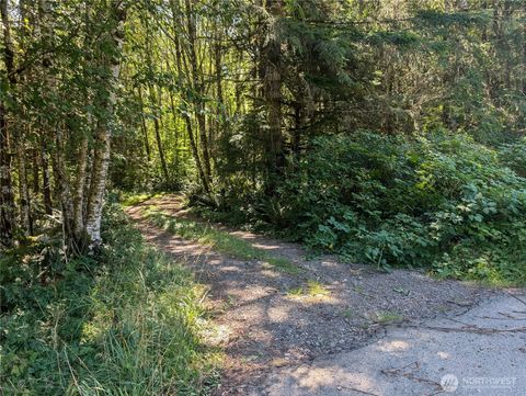 Photo of 999 Hwy 101 Highway, Beaver, WA 98363 (MLS # 2430448)