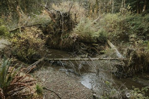 Photo of 170 Sportsman Club Road, Forks, WA 98331 (MLS # 2443767)