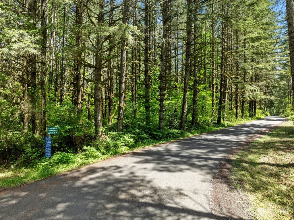 Photo of 0 NE Moss Creek Way, Carnation, WA 98014 (MLS # 2247657)