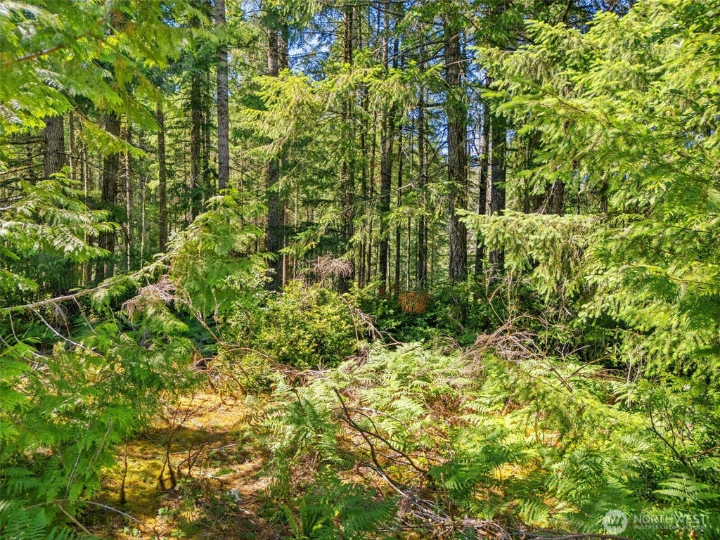 Photo of 0 SP1357 E Glenwood Drive, Union, WA 98592 (MLS # 2553958)