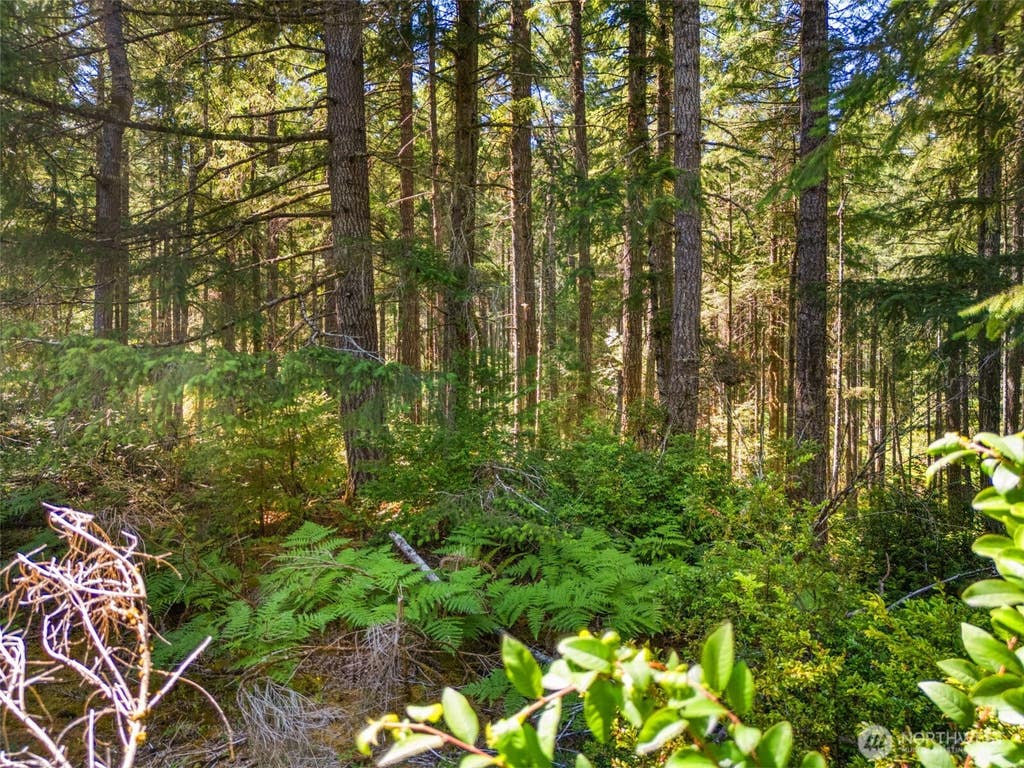 Photo of 0 SP1357 E Glenwood Drive, Union, WA 98592 (MLS # 2553958)