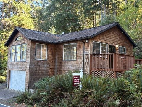 386 South Shore Road Quinault WA 98575