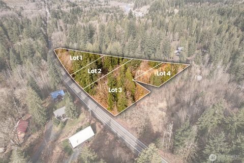 Photo of 10211 Mt Baker Hwy Hwy, Deming, WA 98244 (MLS # 2496831)