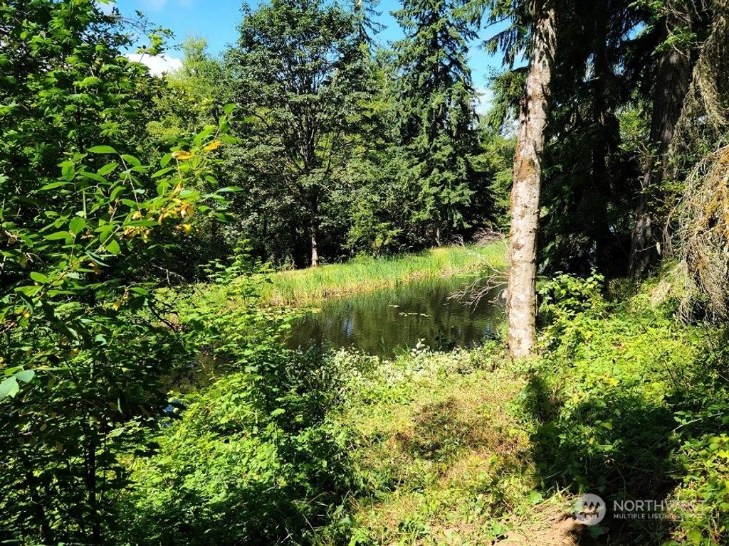 Photo of 23904 Lot 7 E Lake Kayak Drive, Monroe, WA 98272 (MLS # 2032926)