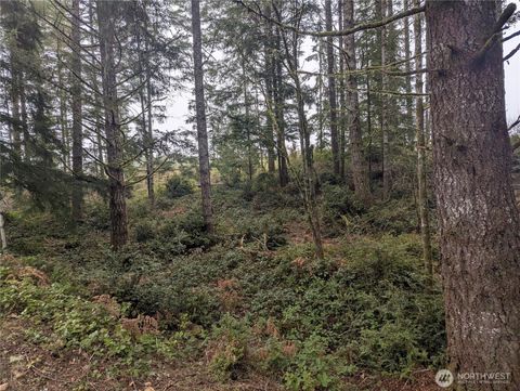 161 E Hemlock Lane Union WA 98592