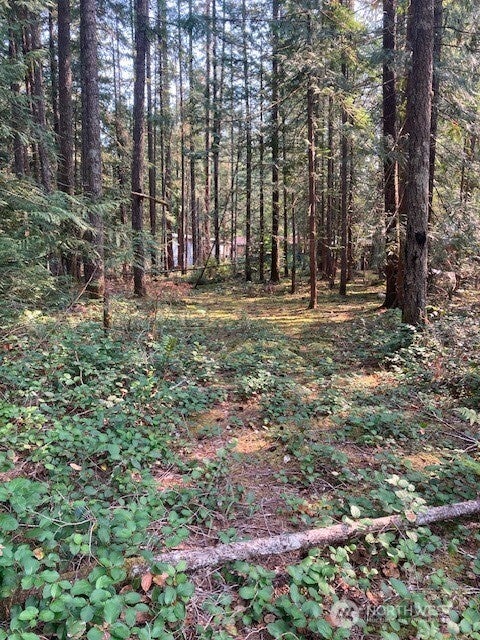 Photo of 180 N Union Drive, Hoodsport, WA 98548 (MLS # 2578584)