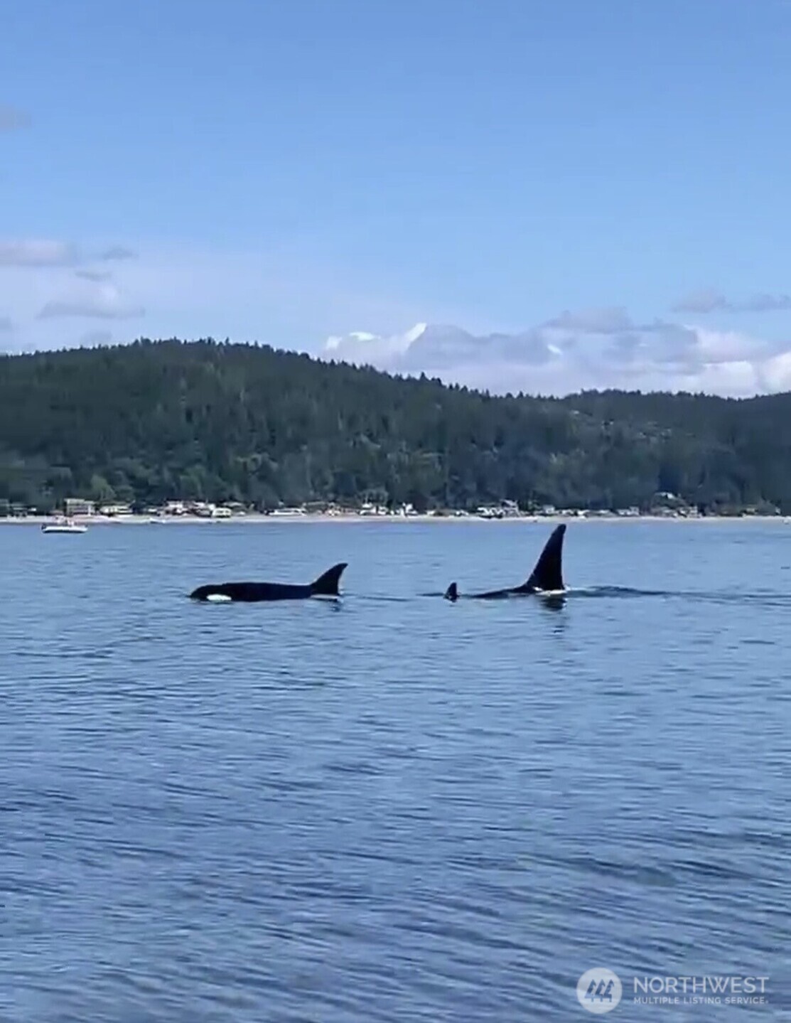 151 E Hillside Drive