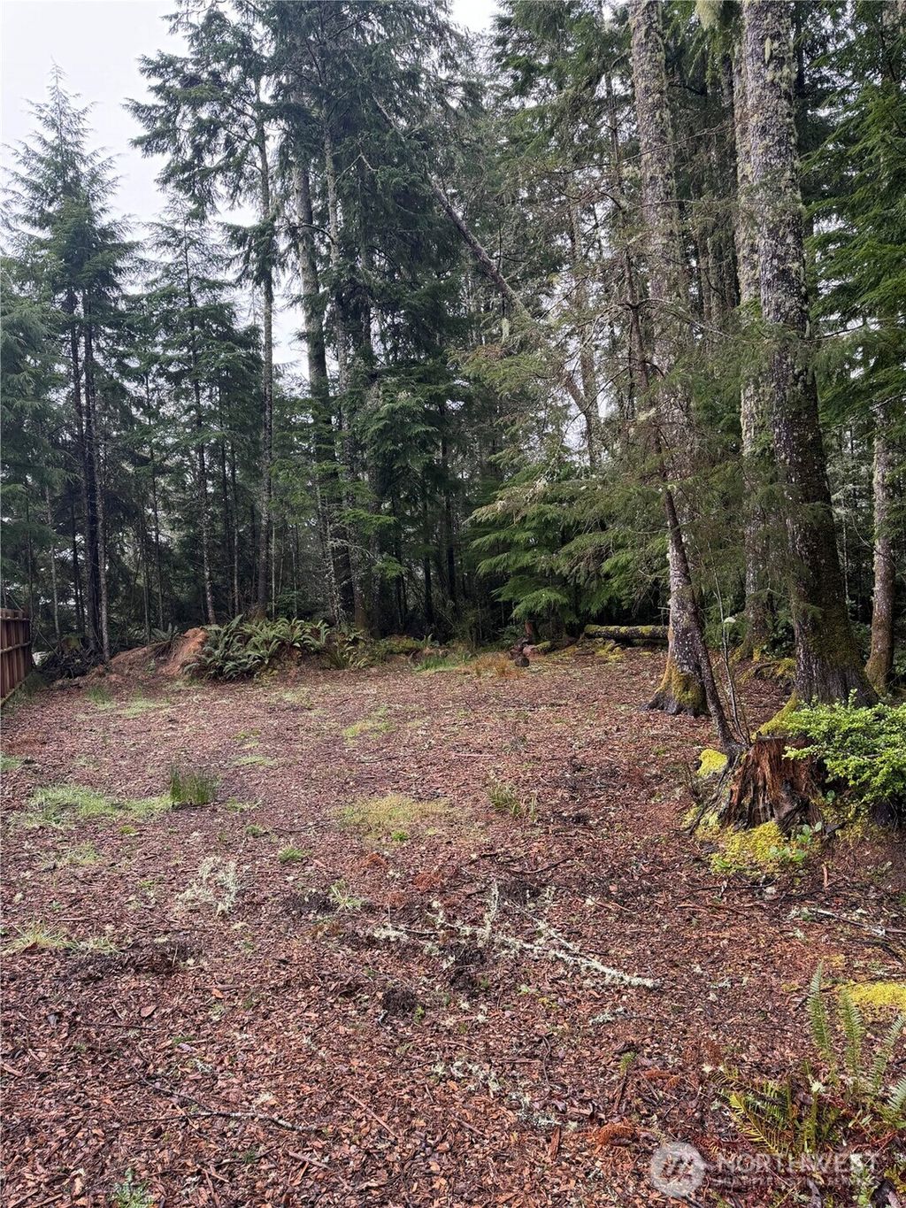 Photo of 736 Chenois Avenue NE, Ocean Shores, WA 98569 (MLS # 2489487)