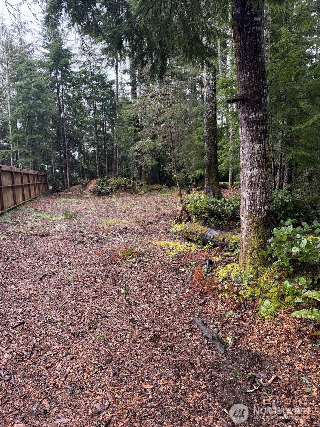 Photo of 736 Chenois Avenue NE, Ocean Shores, WA 98569 (MLS # 2489487)