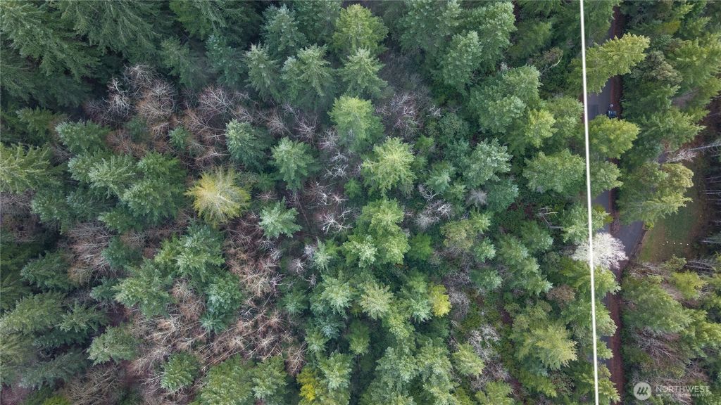 Photo of 12711 144th Ave NW Ave, Gig Harbor, WA 98329 (MLS # 2461135)