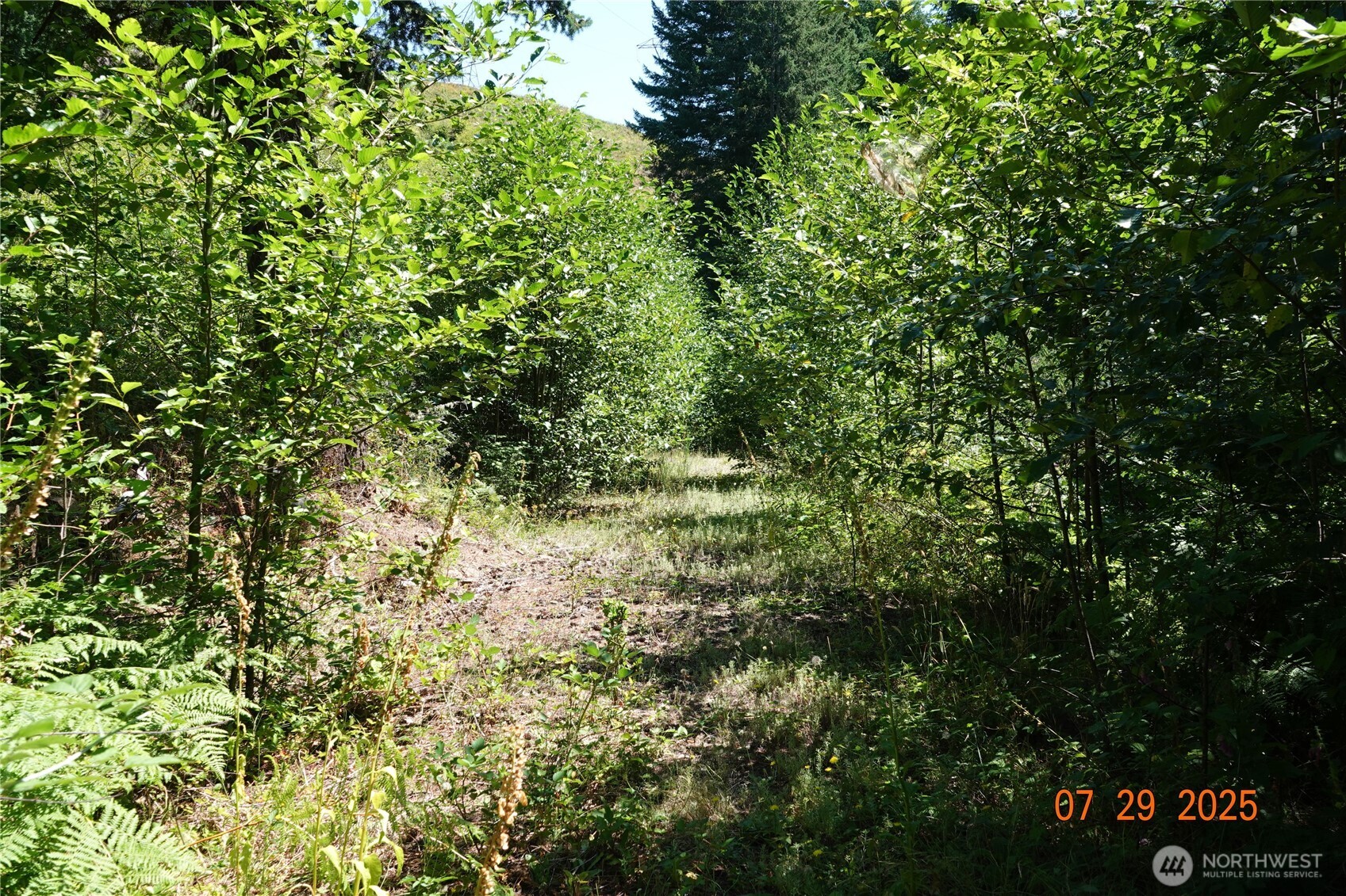 1 Duncan Creek Road