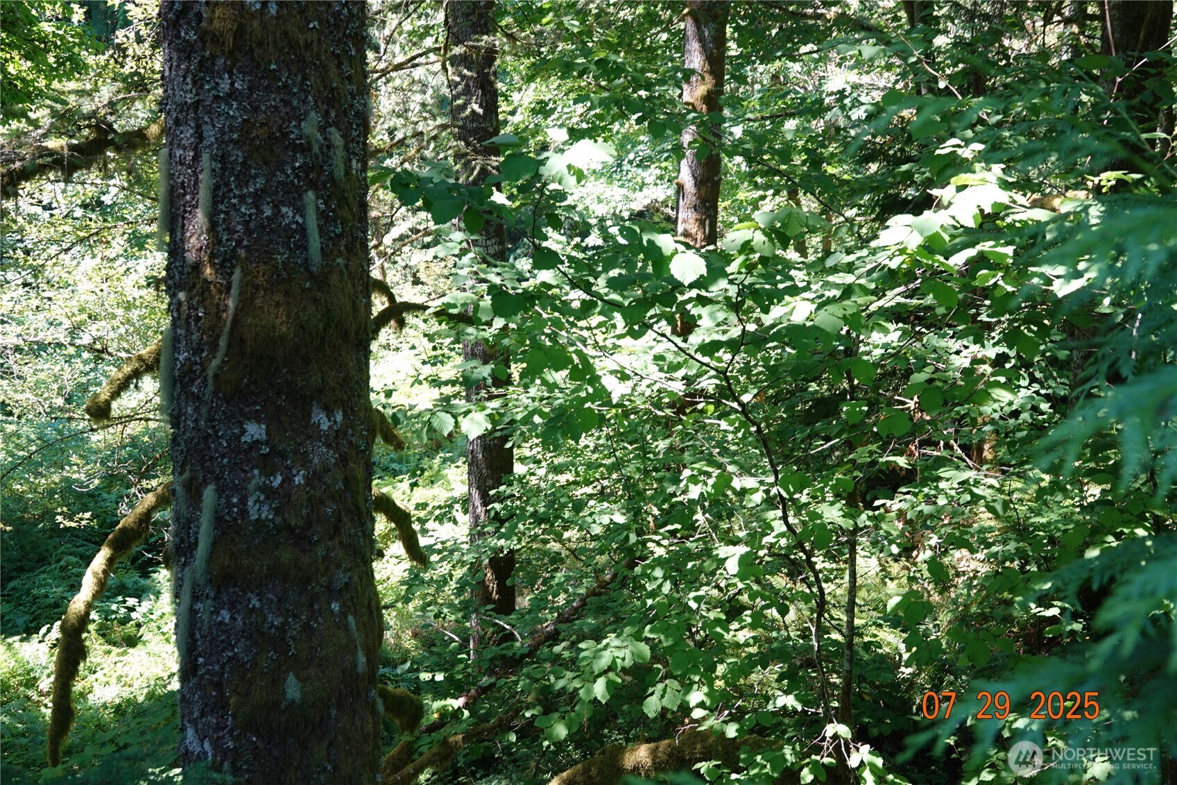 1 Duncan Creek Road