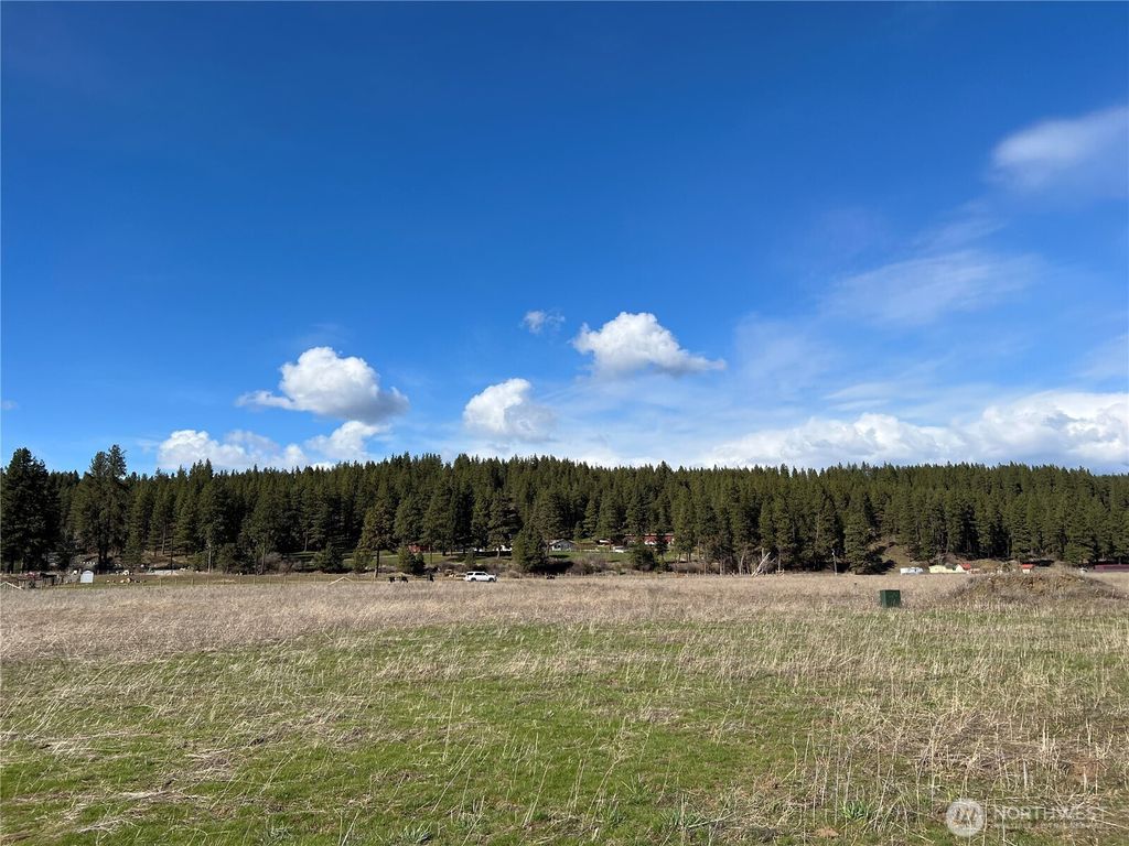 Photo of 0 XXX Red Bridge Road, Cle Elum, WA 98922 (MLS # 2501200)