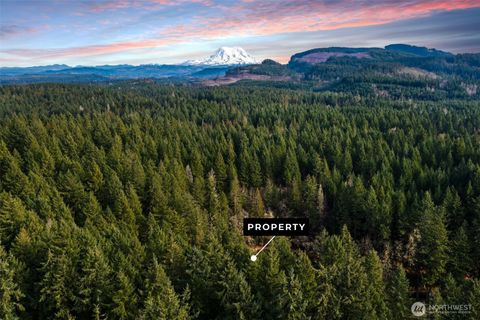 Photo of 17820 Pondside Court, Yelm, WA 98597 (MLS # 2477501)