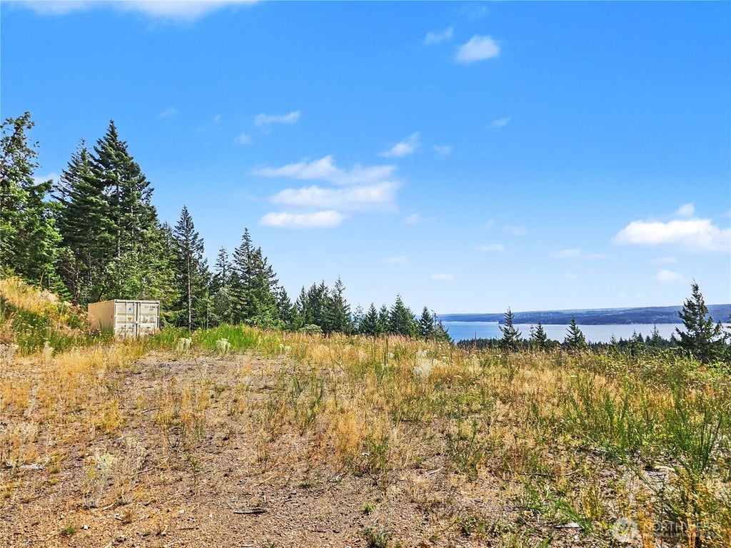 Photo of 646 Madrona Ridge Drive, Brinnon, WA 98320 (MLS # 2561799)