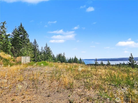 Photo of 646 Madrona Ridge Drive, Brinnon, WA 98320 (MLS # 2561799)