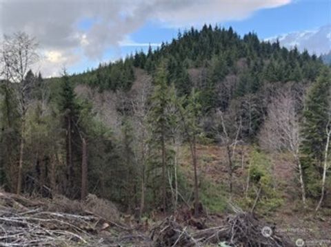 Photo of 0 South Bend Palix Rd, South Bend, WA 98586 (MLS # 2427677)