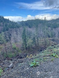 0 South Bend Palix Rd