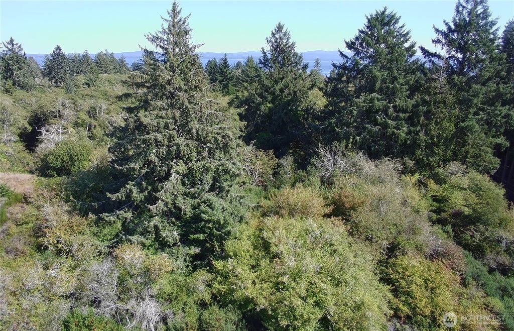 Photo of 0 Oysterville Road, Oysterville, WA 98641 (MLS # 2584202)