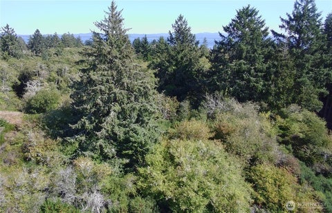 Photo of 0 Oysterville Road, Oysterville, WA 98641 (MLS # 2584202)