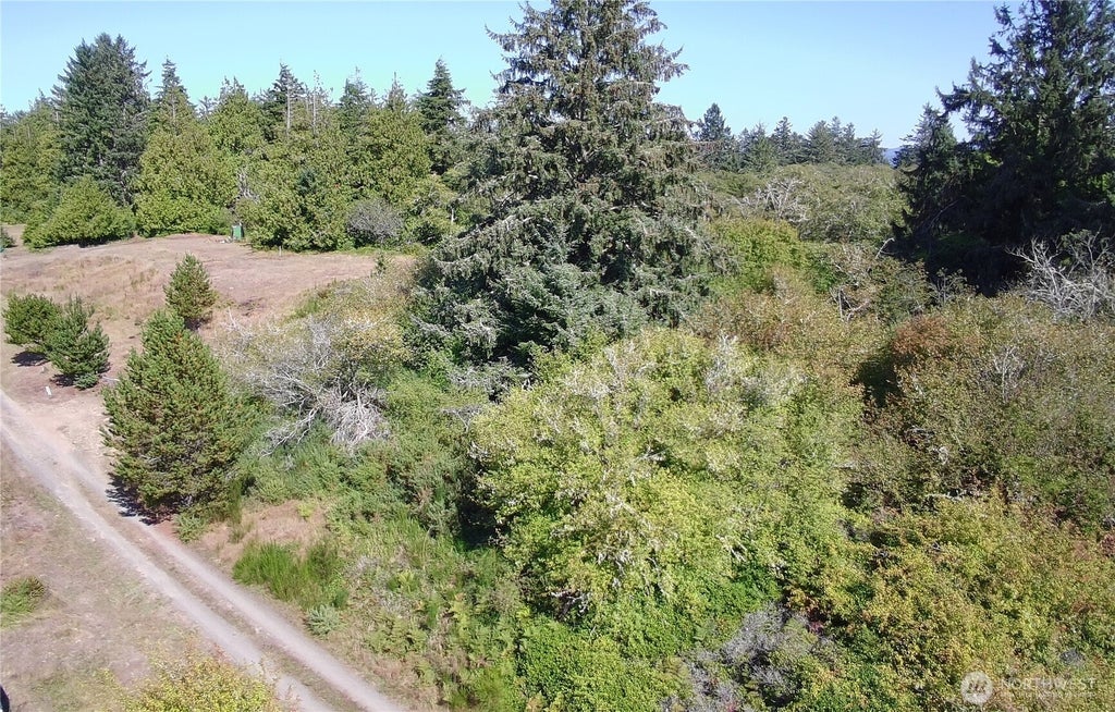 Photo of 0 Oysterville Road, Oysterville, WA 98641 (MLS # 2584202)
